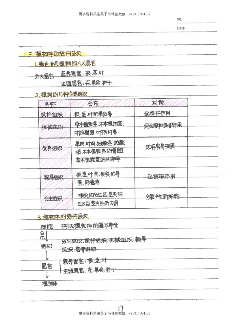 9）中考生物状元笔记（154页）_赠送小初高学霸笔记等_赠_中考状元笔记