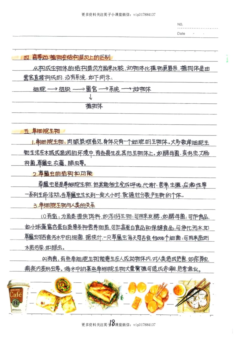 9）中考生物状元笔记（154页）_赠送小初高学霸笔记等_赠_中考状元笔记