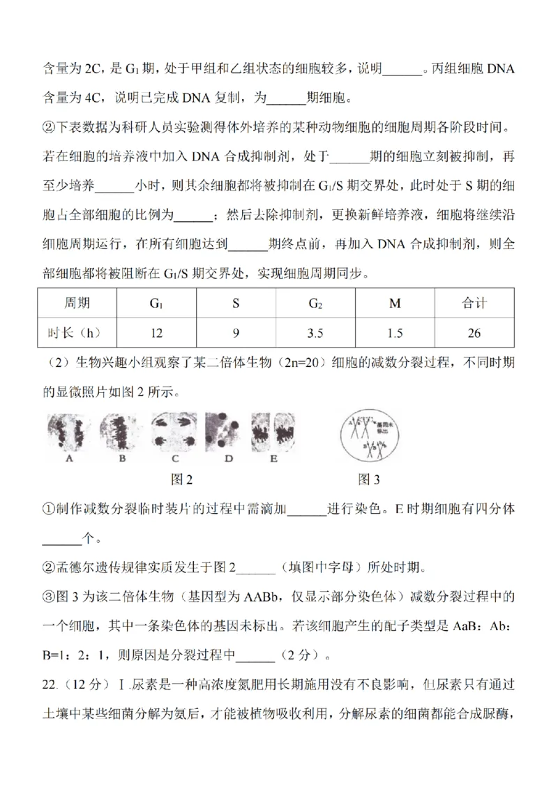 江苏省淮安市五校联盟2024届高三上学期10月学情调查测试生物(1)_2023年10月_0210月合集_2024届江苏省淮安市五校联盟高三上学期10月学情调查测试