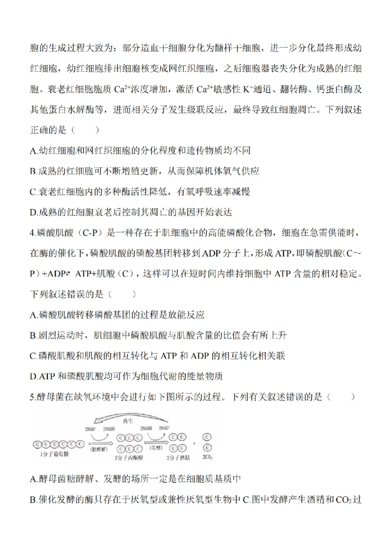 江苏省淮安市五校联盟2024届高三上学期10月学情调查测试生物(1)_2023年10月_0210月合集_2024届江苏省淮安市五校联盟高三上学期10月学情调查测试