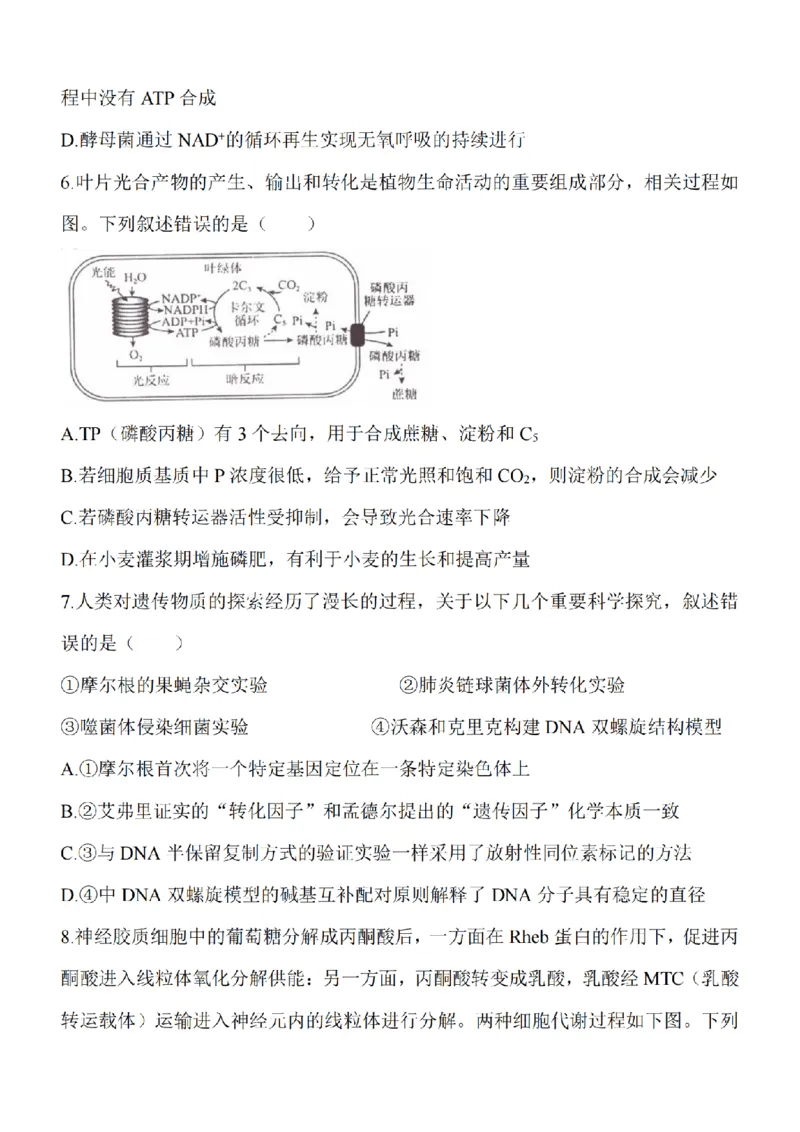 江苏省淮安市五校联盟2024届高三上学期10月学情调查测试生物(1)_2023年10月_0210月合集_2024届江苏省淮安市五校联盟高三上学期10月学情调查测试