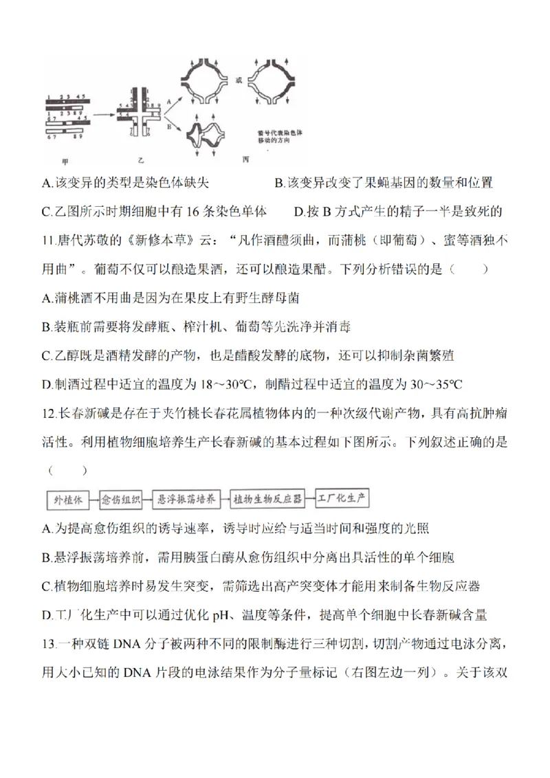 江苏省淮安市五校联盟2024届高三上学期10月学情调查测试生物(1)_2023年10月_0210月合集_2024届江苏省淮安市五校联盟高三上学期10月学情调查测试