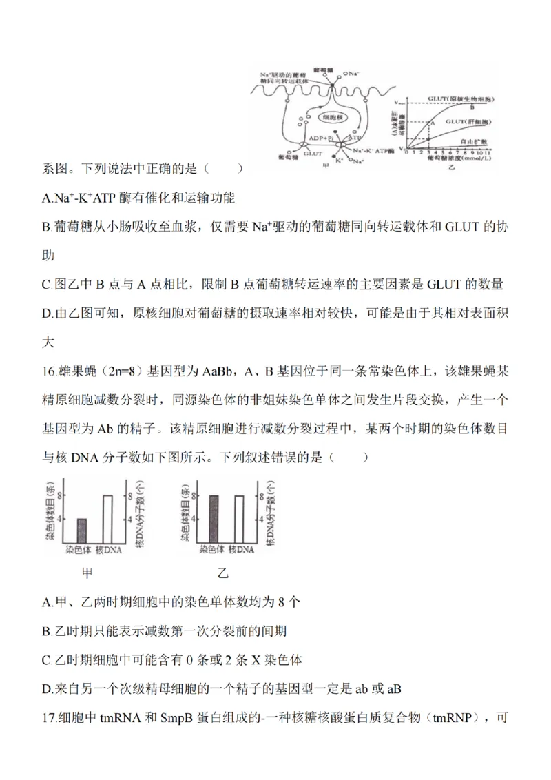 江苏省淮安市五校联盟2024届高三上学期10月学情调查测试生物(1)_2023年10月_0210月合集_2024届江苏省淮安市五校联盟高三上学期10月学情调查测试