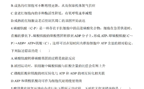 江苏省淮安市五校联盟2024届高三上学期10月学情调查测试生物(1)_2023年10月_0210月合集_2024届江苏省淮安市五校联盟高三上学期10月学情调查测试