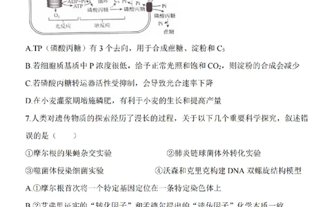 江苏省淮安市五校联盟2024届高三上学期10月学情调查测试生物(1)_2023年10月_0210月合集_2024届江苏省淮安市五校联盟高三上学期10月学情调查测试