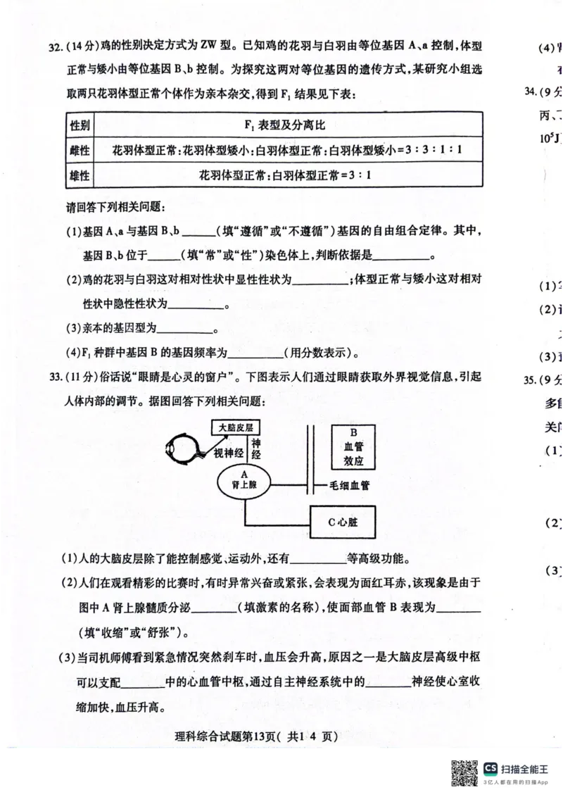 2024届山西省临汾市高三下学期适应性训练考试（三）理科综合试题_2024年5月_01按日期_1号_2024届山西省临汾市高三下学期考前适应性训练(三)