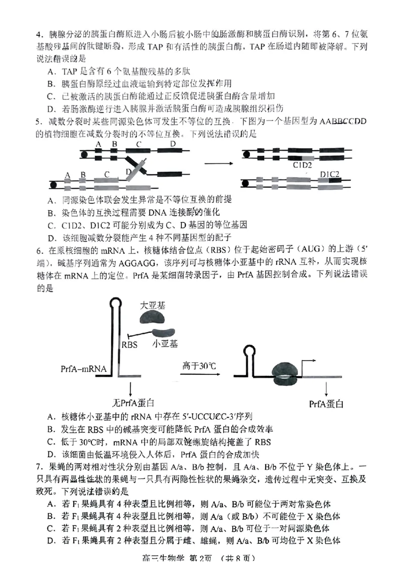 2024届山东省淄博市高三下学期一模考试生物(1)_2024年3月_013月合集_2024届山东省淄博市高三下学期一模考试（全科）