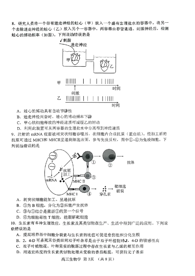 2024届山东省淄博市高三下学期一模考试生物(1)_2024年3月_013月合集_2024届山东省淄博市高三下学期一模考试（全科）