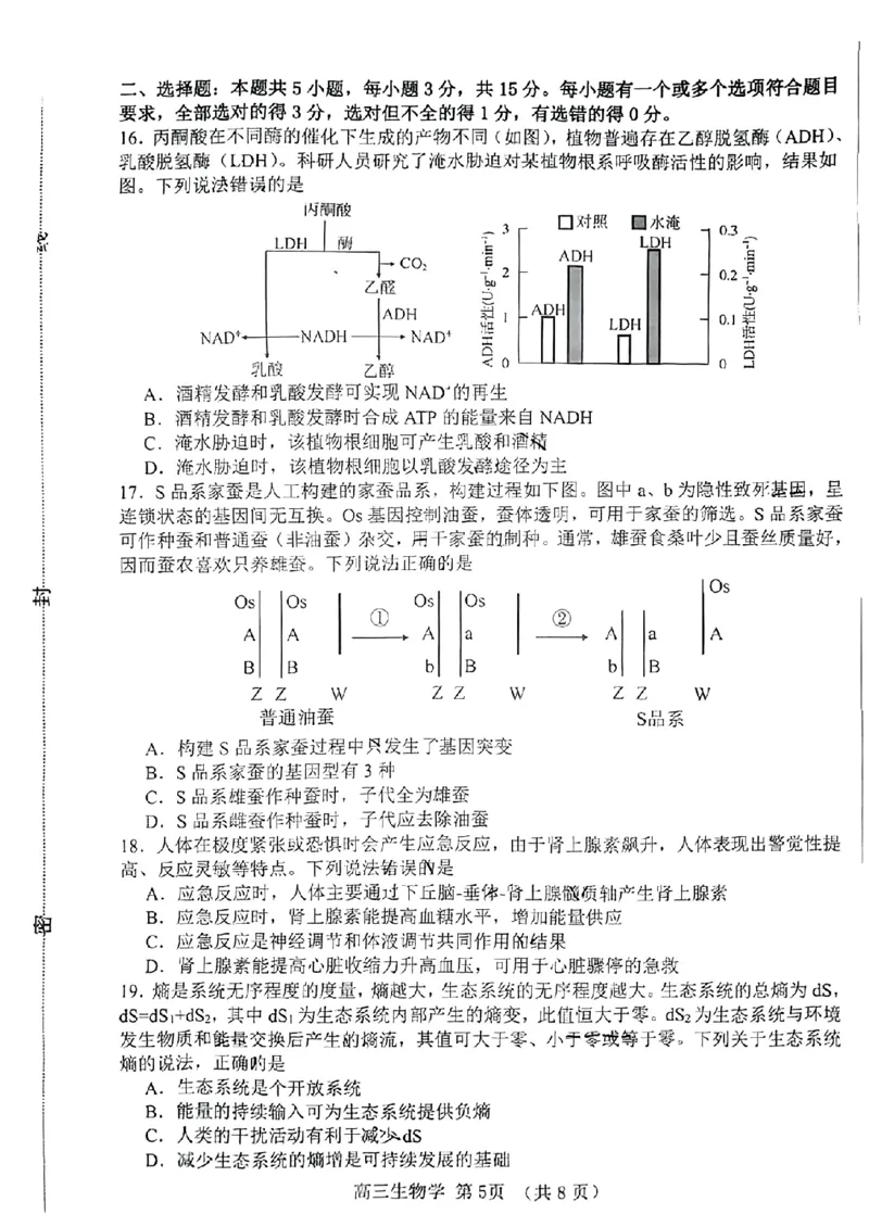 2024届山东省淄博市高三下学期一模考试生物(1)_2024年3月_013月合集_2024届山东省淄博市高三下学期一模考试（全科）