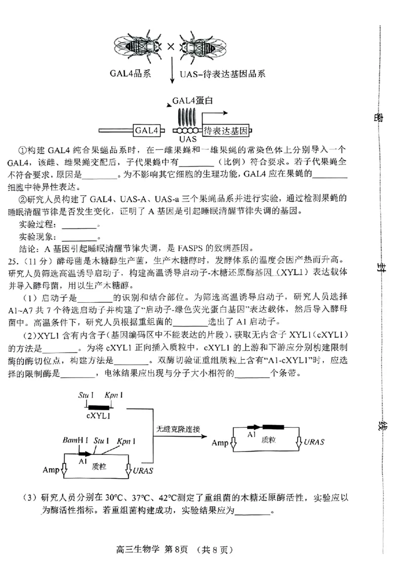 2024届山东省淄博市高三下学期一模考试生物(1)_2024年3月_013月合集_2024届山东省淄博市高三下学期一模考试（全科）