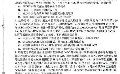 2024届山东省淄博市高三下学期一模考试生物(1)_2024年3月_013月合集_2024届山东省淄博市高三下学期一模考试（全科）