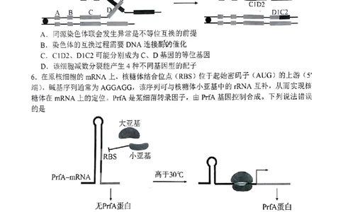 2024届山东省淄博市高三下学期一模考试生物(1)_2024年3月_013月合集_2024届山东省淄博市高三下学期一模考试（全科）