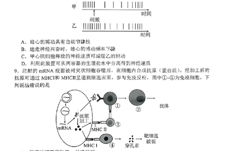 2024届山东省淄博市高三下学期一模考试生物(1)_2024年3月_013月合集_2024届山东省淄博市高三下学期一模考试（全科）