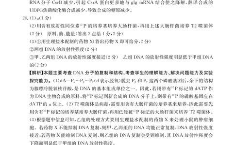 高三生物答案(1)_2023年10月_0210月合集_2024届湖南高三10月金太阳联考（电话角标）_2024届湖南高三10月金太阳联考（电话角标）生物