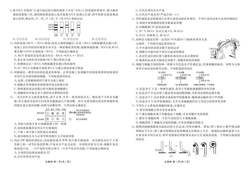 衡水金卷高三上(摸底考)-生物试题+答案(1)_2023年9月_029月合集_2024届衡水金卷高三摸底联考