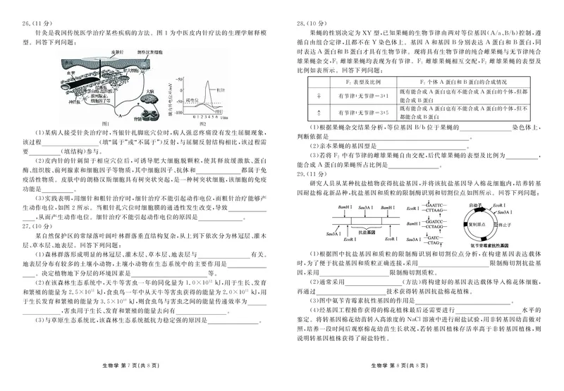 衡水金卷高三上(摸底考)-生物试题+答案(1)_2023年9月_029月合集_2024届衡水金卷高三摸底联考