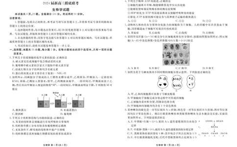 衡水金卷高三上(摸底考)-生物试题+答案(1)_2023年9月_029月合集_2024届衡水金卷高三摸底联考