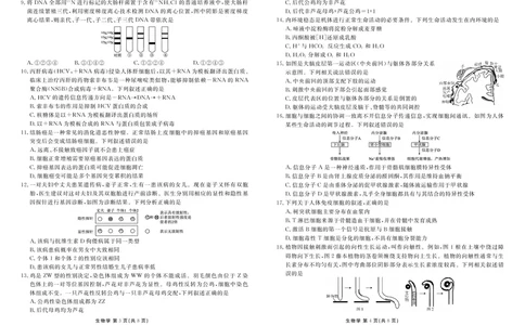 衡水金卷高三上(摸底考)-生物试题+答案(1)_2023年9月_029月合集_2024届衡水金卷高三摸底联考