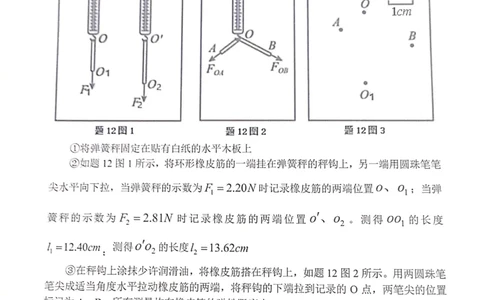 重庆市七校2023-2024学年高三上学期开学考试物理试题_2023年9月_01每日更新_3号_2024届重庆市七校高三上学期开学考试_重庆市七校2024届高三上学期开学考试物理