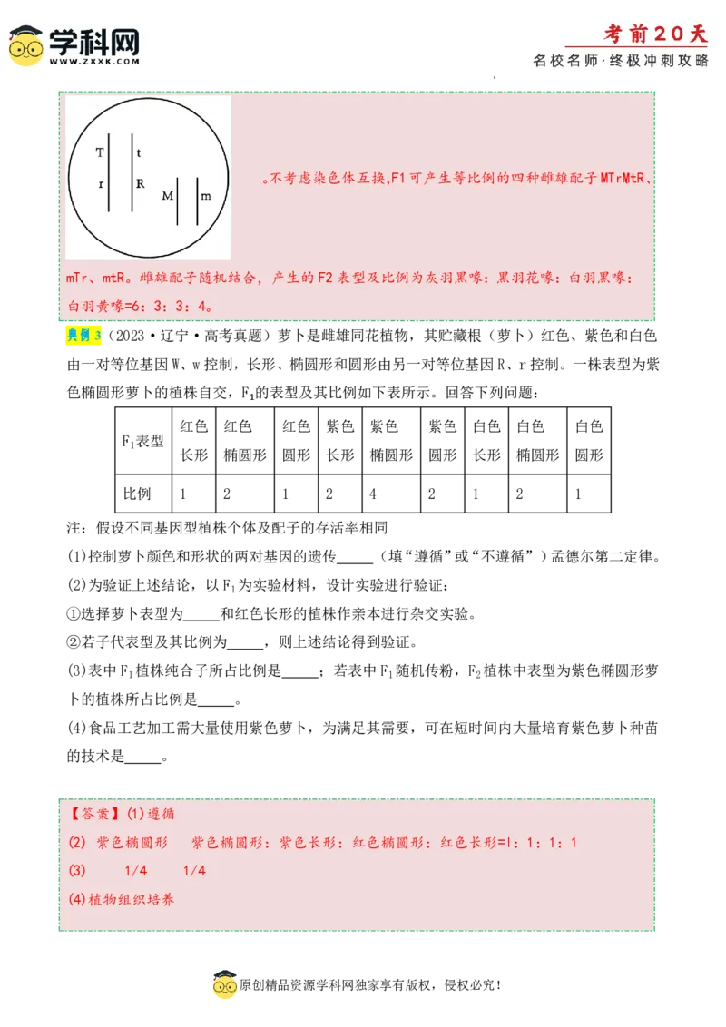 生物（二）-2024年高考考前20天终极冲刺攻略_2024高考押题卷_62024学科网全系列_21学科网高考考前终极攻略_生物-2024年高考考前20天终极冲刺攻略