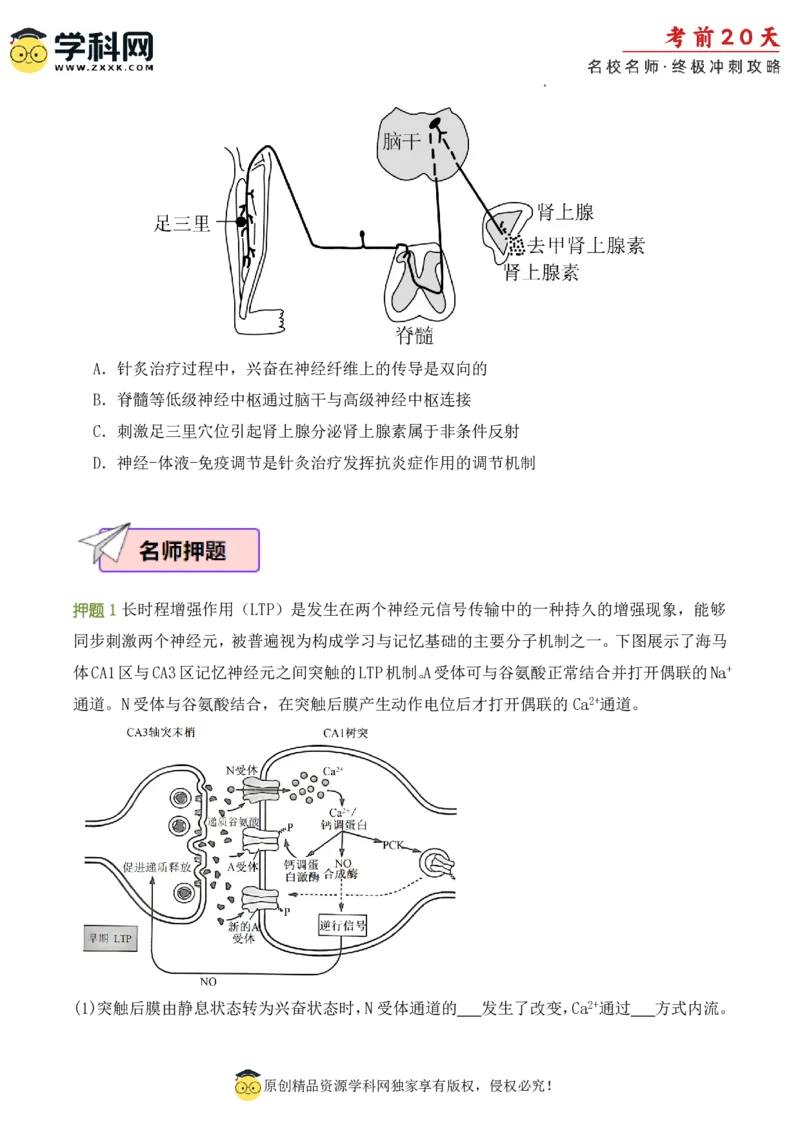 生物（二）-2024年高考考前20天终极冲刺攻略_2024高考押题卷_62024学科网全系列_21学科网高考考前终极攻略_生物-2024年高考考前20天终极冲刺攻略