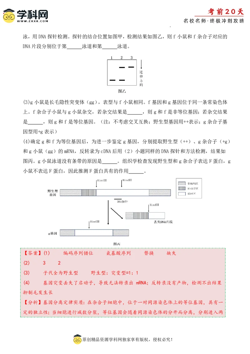 生物（二）-2024年高考考前20天终极冲刺攻略_2024高考押题卷_62024学科网全系列_21学科网高考考前终极攻略_生物-2024年高考考前20天终极冲刺攻略