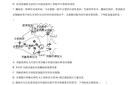 精品解析：广东省六校（东莞中学、广州二中、惠州一中、深圳实验、珠海一中、中山纪念中学）2023-2024学年高三上学期第一次联考生物试题（原卷版）_2023年8月_01每日更新_15号