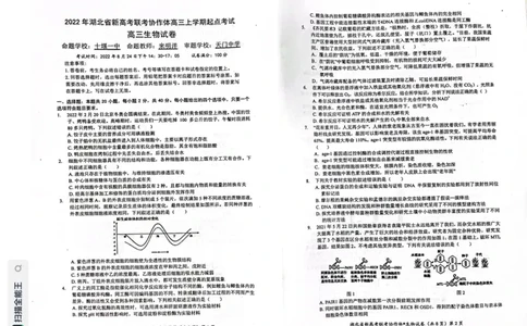湖北省新高考联考协作体2022-2023学年高三上学期起点考试生物试题_2023年7月_01每日更新_27号_2023届湖北省新高考联考协作体高三上学期起点考试