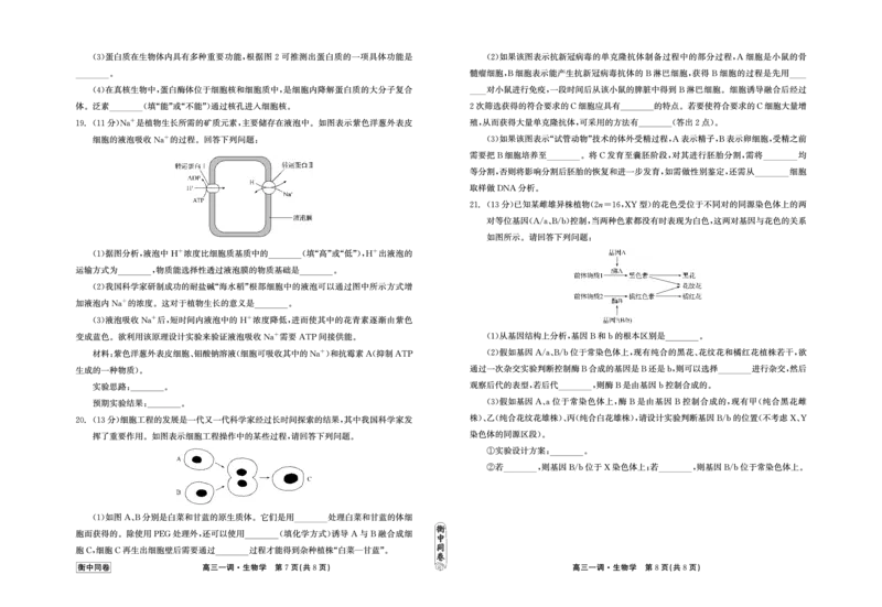 衡中同卷2023-2024学年度上学期高三年级一调考试生物(1)_2023年9月_029月合集_2024届河北衡中同卷上学期高三年级一调考试