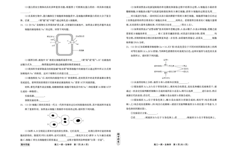 衡中同卷2023-2024学年度上学期高三年级一调考试生物(1)_2023年9月_029月合集_2024届河北衡中同卷上学期高三年级一调考试