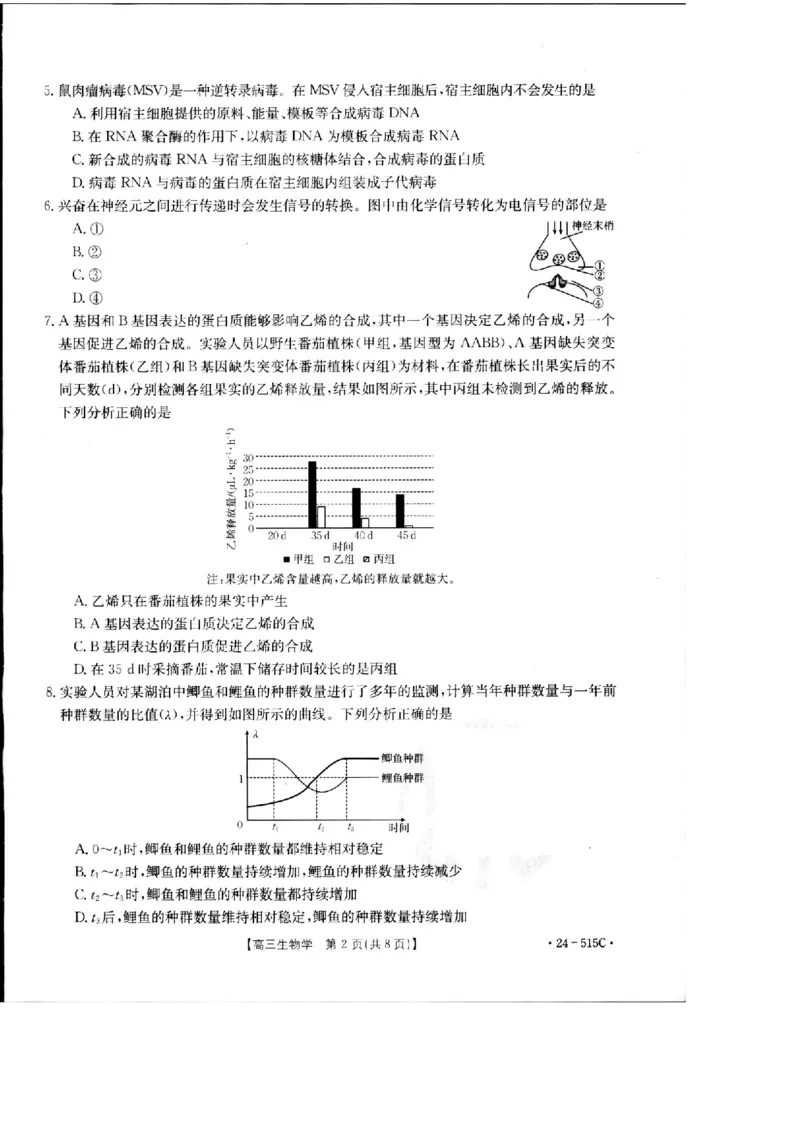 2024届江西省部分学校高三下学期5月第一次适应性考试大联考生物_2024年5月_01按日期_25号_2024届江西省金太阳（515C）高三5月联考_2024届江西省金太阳高三5月联考（515C）生物