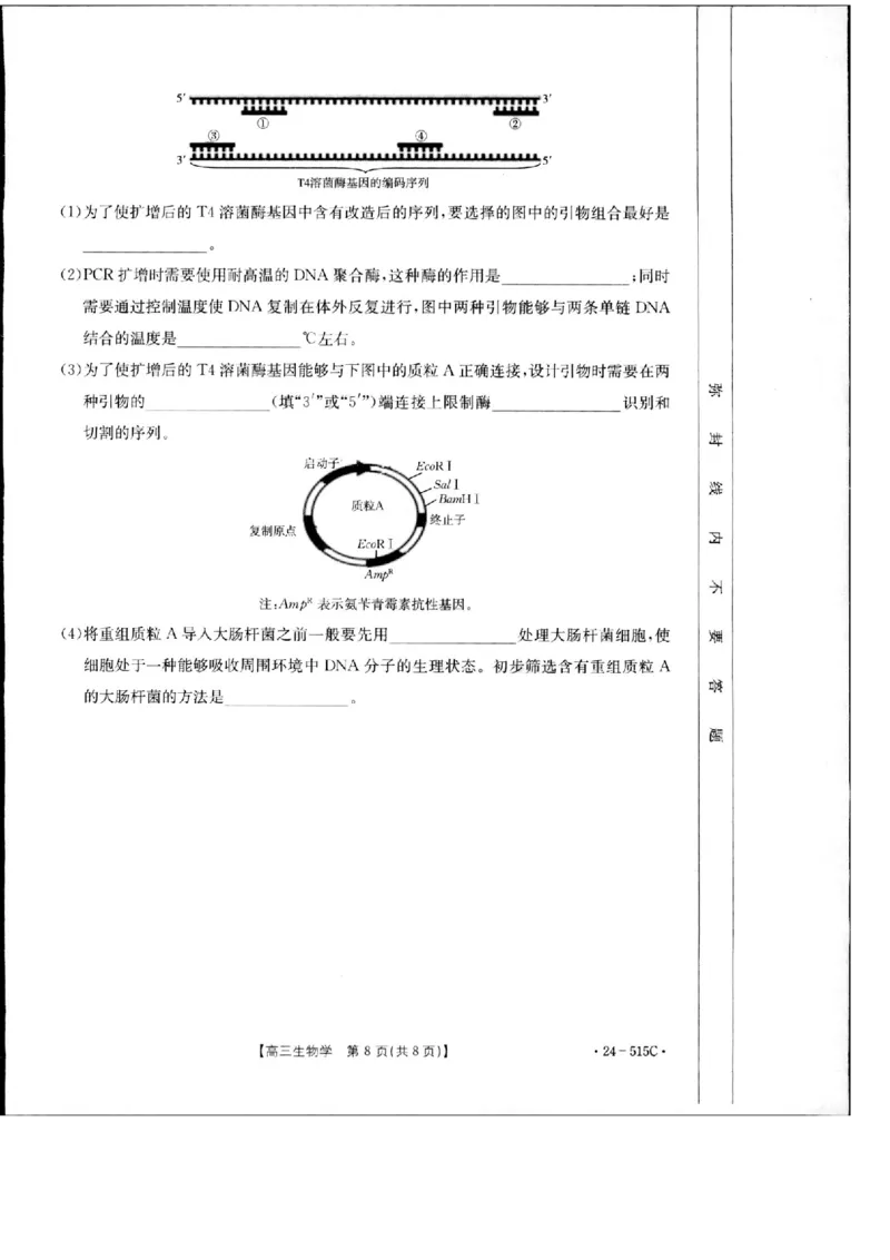 2024届江西省部分学校高三下学期5月第一次适应性考试大联考生物_2024年5月_01按日期_25号_2024届江西省金太阳（515C）高三5月联考_2024届江西省金太阳高三5月联考（515C）生物