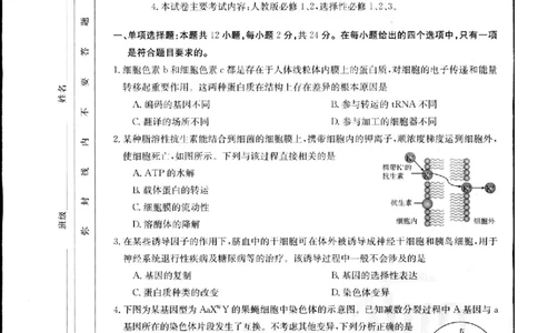 2024届江西省部分学校高三下学期5月第一次适应性考试大联考生物_2024年5月_01按日期_25号_2024届江西省金太阳（515C）高三5月联考_2024届江西省金太阳高三5月联考（515C）生物