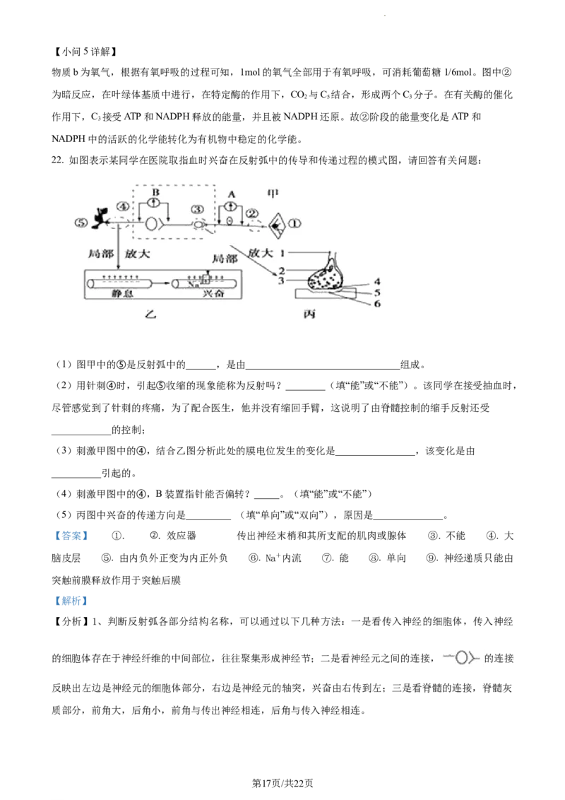 精品解析：辽宁省北镇市三中2023-2024学年高三上学期第二次月考生物试题（解析版）(1)_2023年10月_0210月合集_2024届辽宁省北镇市第三高级中学高三上学期第二次月考