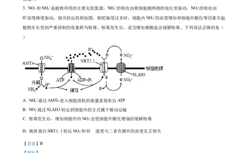 精品解析：辽宁省北镇市三中2023-2024学年高三上学期第二次月考生物试题（解析版）(1)_2023年10月_0210月合集_2024届辽宁省北镇市第三高级中学高三上学期第二次月考
