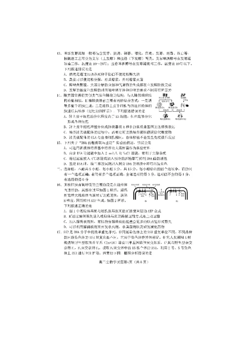 2024届山东省日照市校际联合考试高三一模（2月）生物_2024年3月_013月合集_2024届山东省日照市校际联合考试高三一模（2月）_2024届山东省日照市校际联合考试高三一模（2月）生物