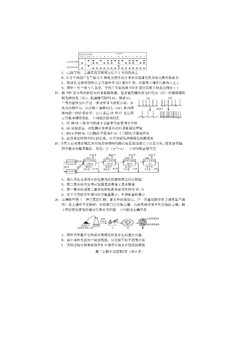 2024届山东省日照市校际联合考试高三一模（2月）生物_2024年3月_013月合集_2024届山东省日照市校际联合考试高三一模（2月）_2024届山东省日照市校际联合考试高三一模（2月）生物
