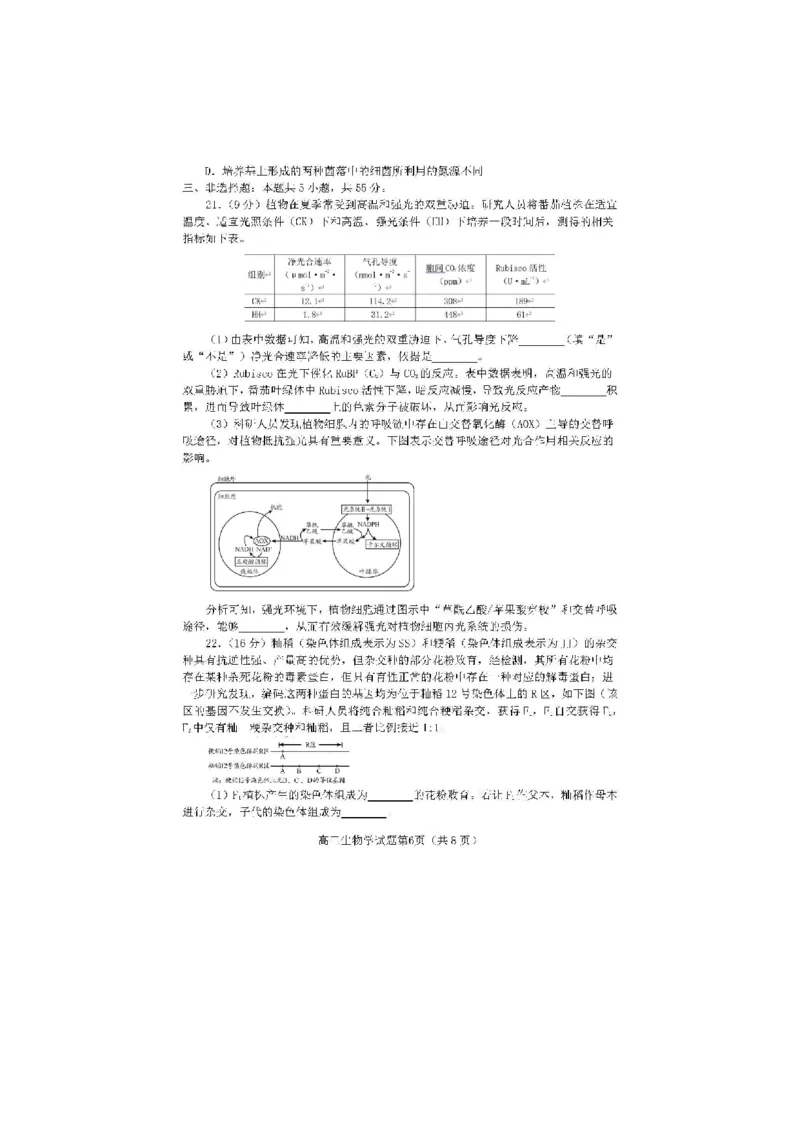 2024届山东省日照市校际联合考试高三一模（2月）生物_2024年3月_013月合集_2024届山东省日照市校际联合考试高三一模（2月）_2024届山东省日照市校际联合考试高三一模（2月）生物