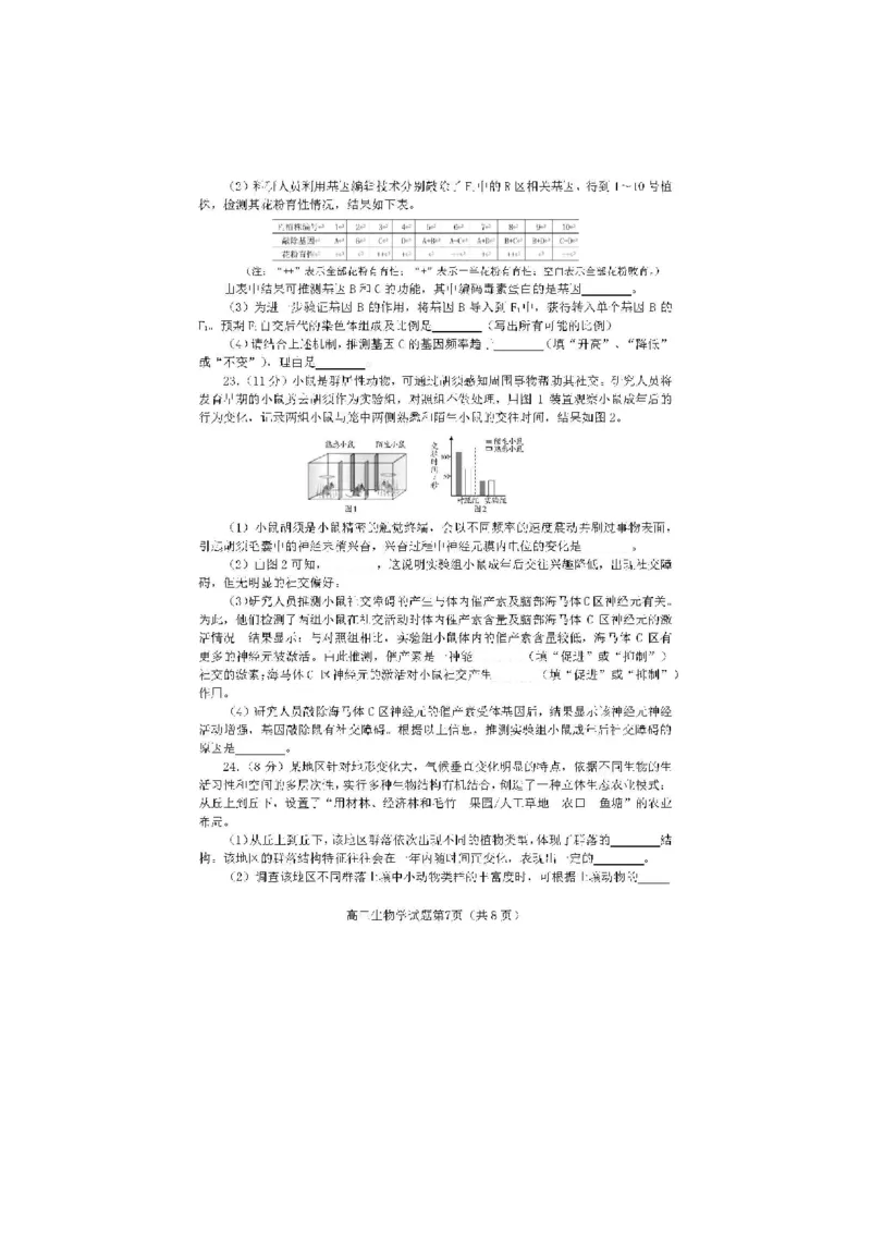 2024届山东省日照市校际联合考试高三一模（2月）生物_2024年3月_013月合集_2024届山东省日照市校际联合考试高三一模（2月）_2024届山东省日照市校际联合考试高三一模（2月）生物