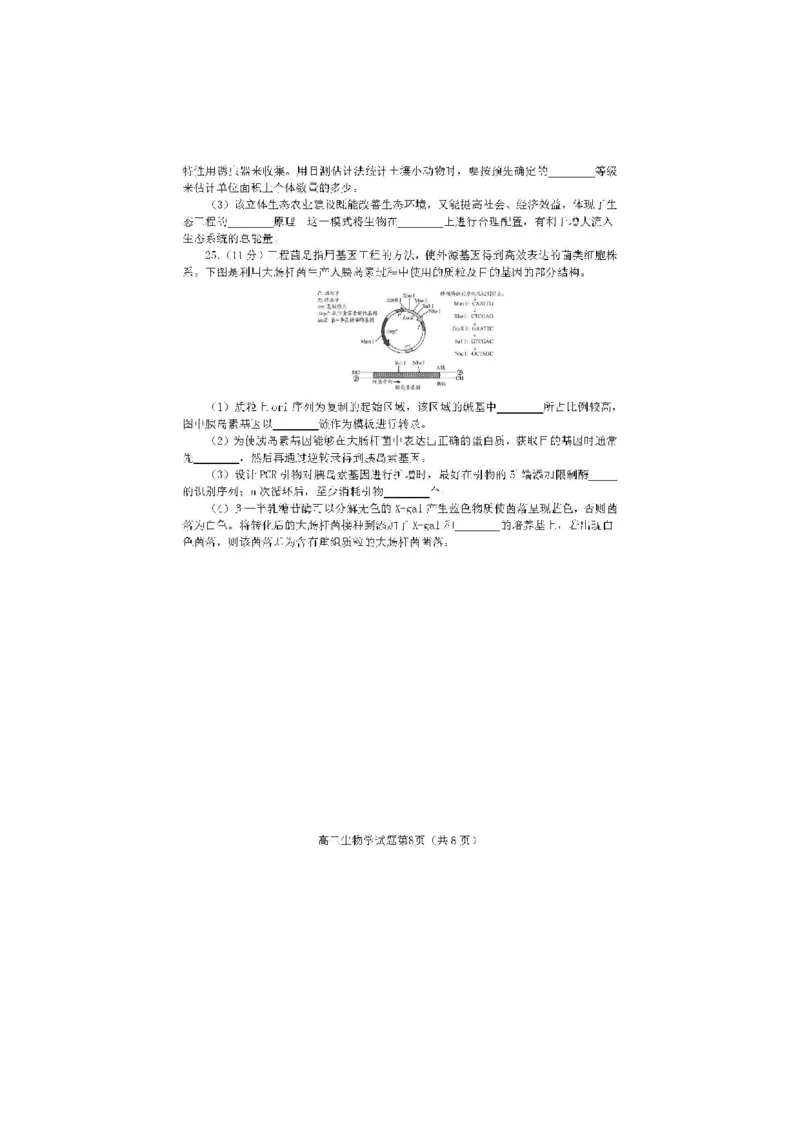 2024届山东省日照市校际联合考试高三一模（2月）生物_2024年3月_013月合集_2024届山东省日照市校际联合考试高三一模（2月）_2024届山东省日照市校际联合考试高三一模（2月）生物