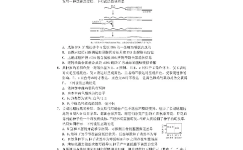 2024届山东省日照市校际联合考试高三一模（2月）生物_2024年3月_013月合集_2024届山东省日照市校际联合考试高三一模（2月）_2024届山东省日照市校际联合考试高三一模（2月）生物