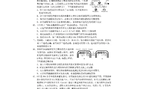 2024届山东省日照市校际联合考试高三一模（2月）生物_2024年3月_013月合集_2024届山东省日照市校际联合考试高三一模（2月）_2024届山东省日照市校际联合考试高三一模（2月）生物