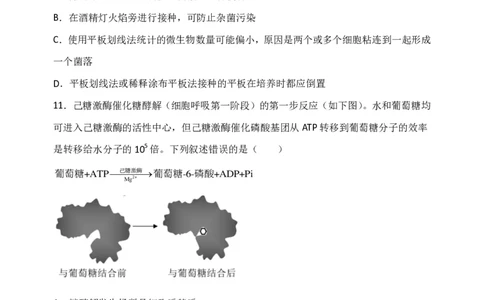 黑龙江省牡丹江市第三高级中学2023-2024学年高三上学期开学考试生物(1)_2023年8月_028月合集_2024届黑龙江省牡丹江市第三高级中学高三上学期开学考试