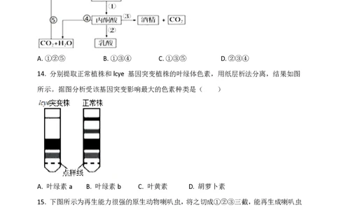 黑龙江省牡丹江市第三高级中学2023-2024学年高三上学期开学考试生物(1)_2023年8月_028月合集_2024届黑龙江省牡丹江市第三高级中学高三上学期开学考试