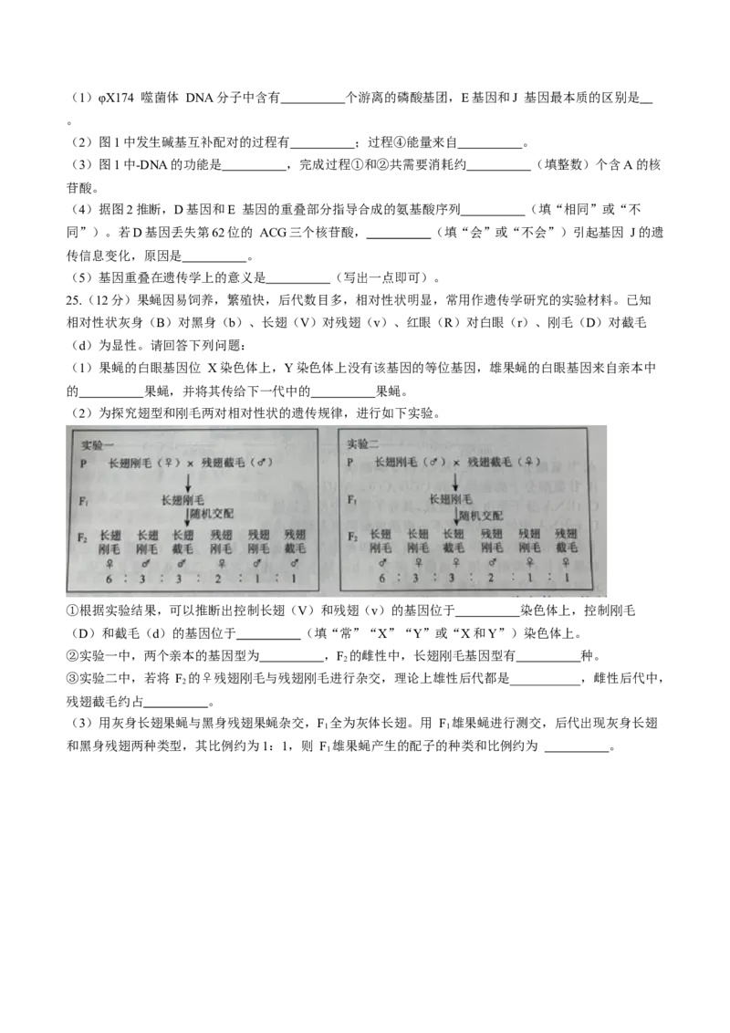 辽宁省名校联盟2023-2024学年高三10月月考生物试题(1)_2023年10月_0210月合集_2024届辽宁省名校联盟高三上学期10月联合考试_辽宁省名校联盟2024届高三上学期10月联合考试生物