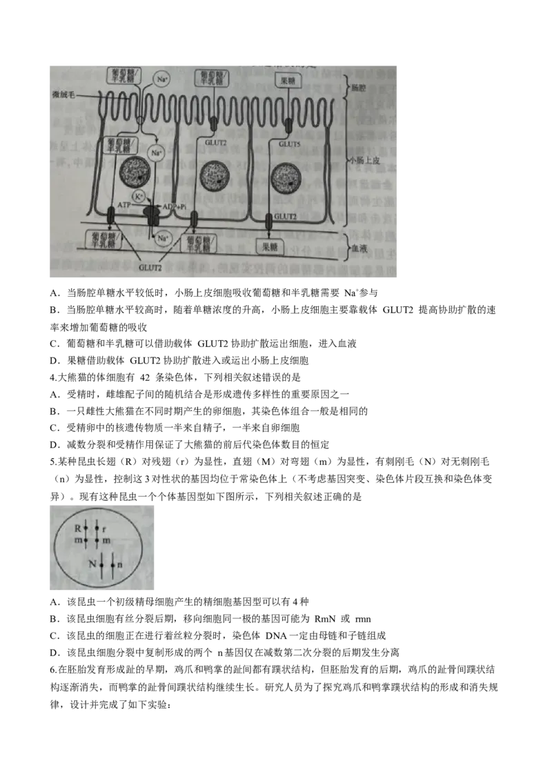 辽宁省名校联盟2023-2024学年高三10月月考生物试题(1)_2023年10月_0210月合集_2024届辽宁省名校联盟高三上学期10月联合考试_辽宁省名校联盟2024届高三上学期10月联合考试生物