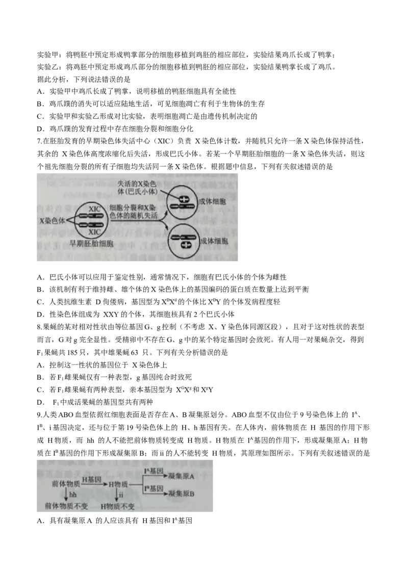 辽宁省名校联盟2023-2024学年高三10月月考生物试题(1)_2023年10月_0210月合集_2024届辽宁省名校联盟高三上学期10月联合考试_辽宁省名校联盟2024届高三上学期10月联合考试生物