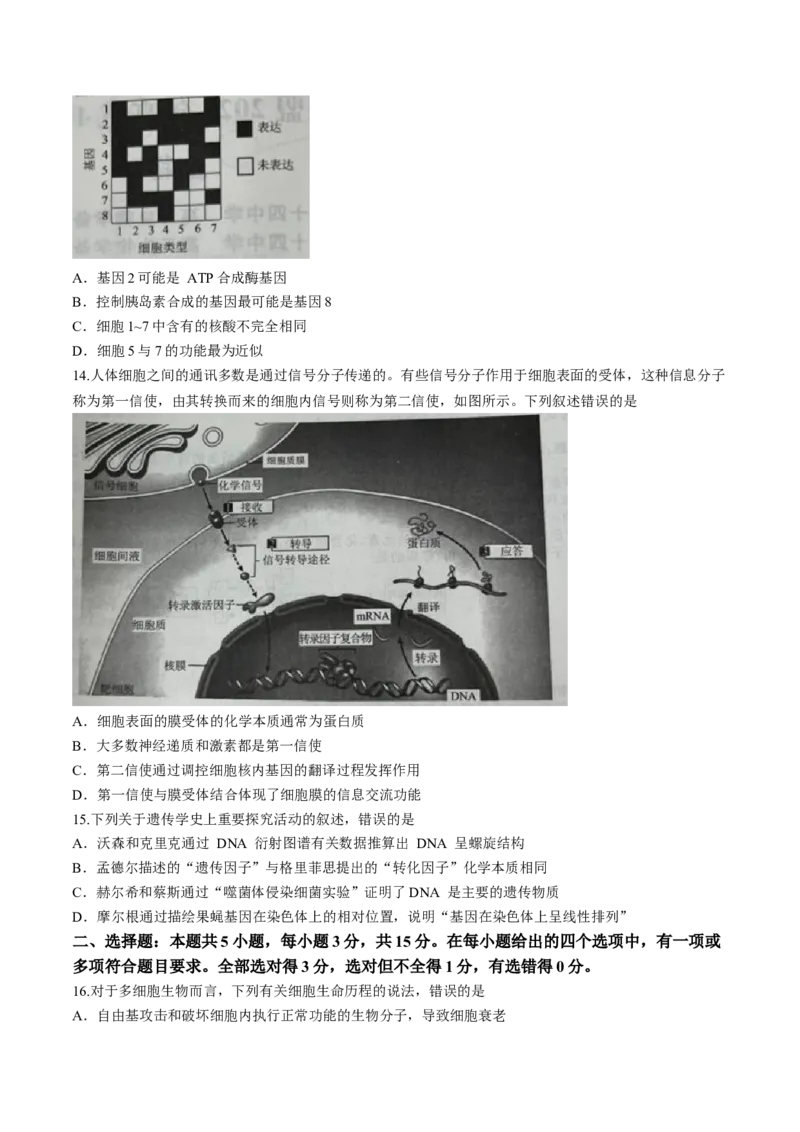 辽宁省名校联盟2023-2024学年高三10月月考生物试题(1)_2023年10月_0210月合集_2024届辽宁省名校联盟高三上学期10月联合考试_辽宁省名校联盟2024届高三上学期10月联合考试生物