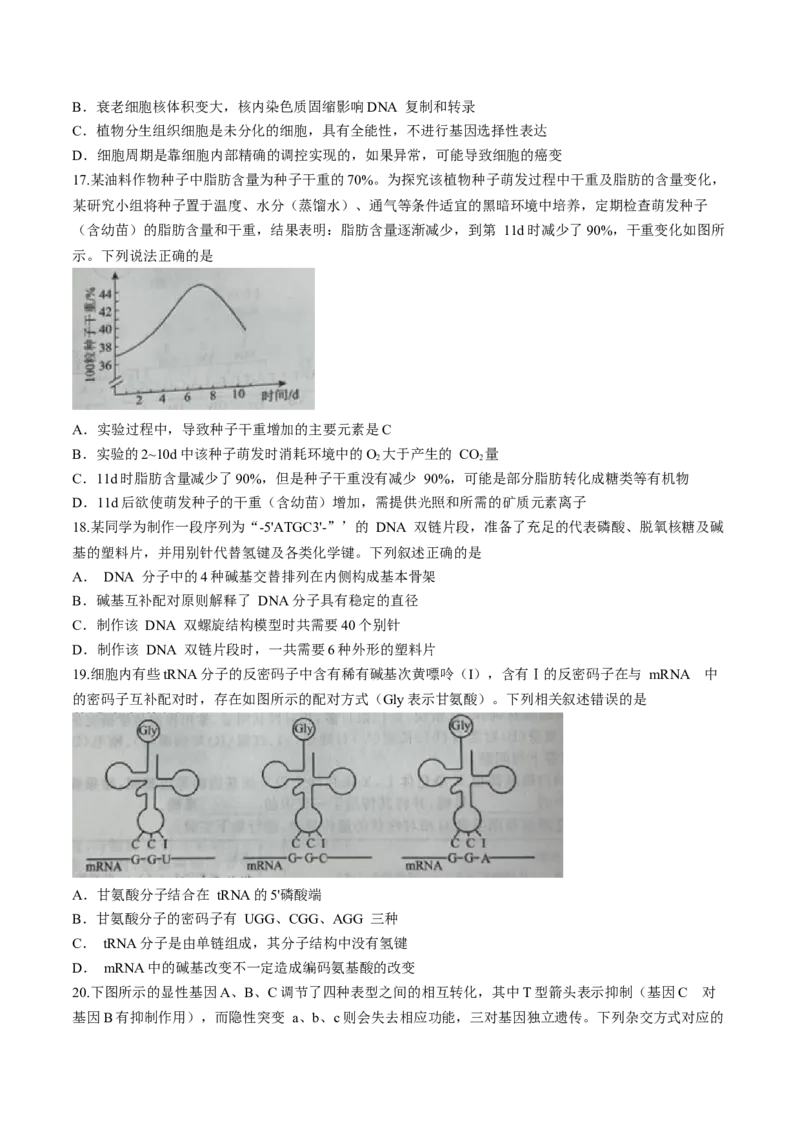 辽宁省名校联盟2023-2024学年高三10月月考生物试题(1)_2023年10月_0210月合集_2024届辽宁省名校联盟高三上学期10月联合考试_辽宁省名校联盟2024届高三上学期10月联合考试生物