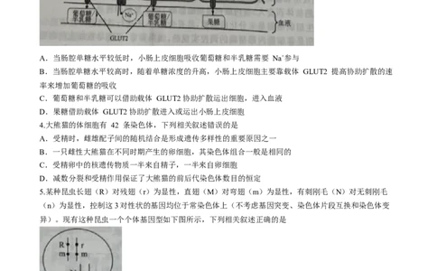 辽宁省名校联盟2023-2024学年高三10月月考生物试题(1)_2023年10月_0210月合集_2024届辽宁省名校联盟高三上学期10月联合考试_辽宁省名校联盟2024届高三上学期10月联合考试生物